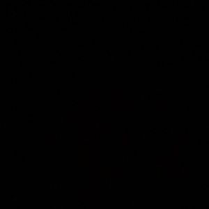 Meet your Posher, Sophie